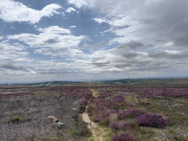 Picture of GYBO (Young Ramblers) Walk: Hutton-le-hole to Chimney Bank